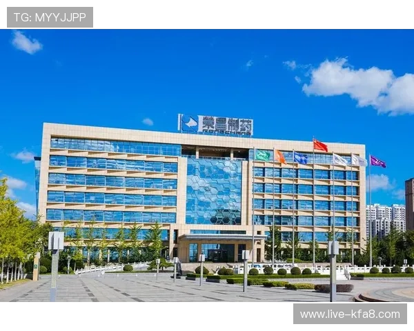 凯发集团网站官网客户服务与常见问题解答，解决您的使用疑问与操作难题