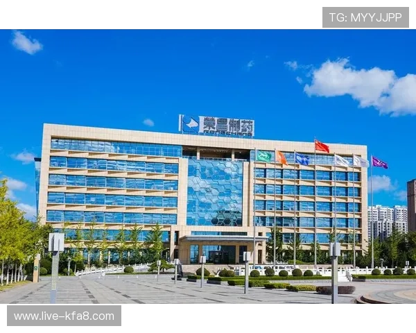 深入了解K8.com凯发国际版的多平台支持与操作指南实现随时随地畅玩游戏